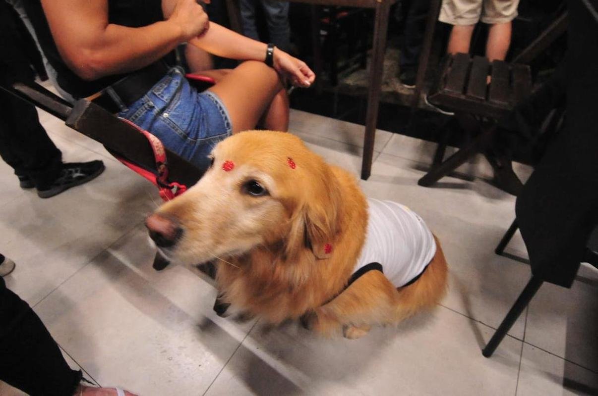 Atleticanos acompanharam Flamengo 2x1 Cear nos bares de Belo Horizonte, na expectativa de comemorar o ttulo antecipado do Campeonato Brasileiro. No entanto, o rival carioca venceu o time nordestino e adiou a festa atleticana.