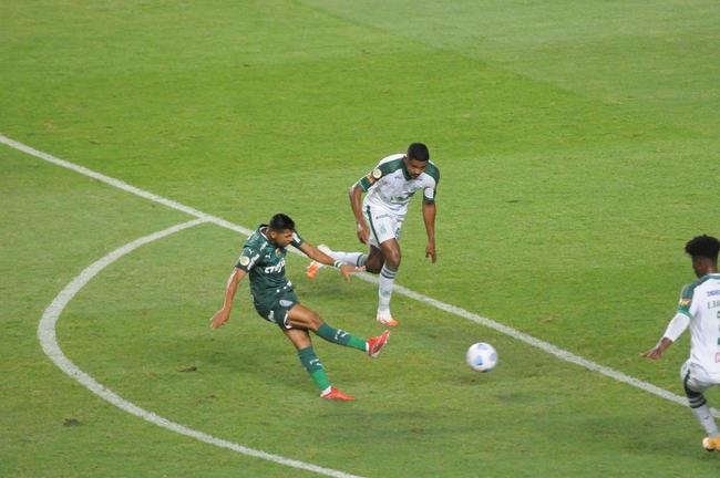 Fotos do jogo entre Amrica e Palmeiras, no Independncia, em Belo Horizonte, pela 24 rodada do Campeonato Brasileiro