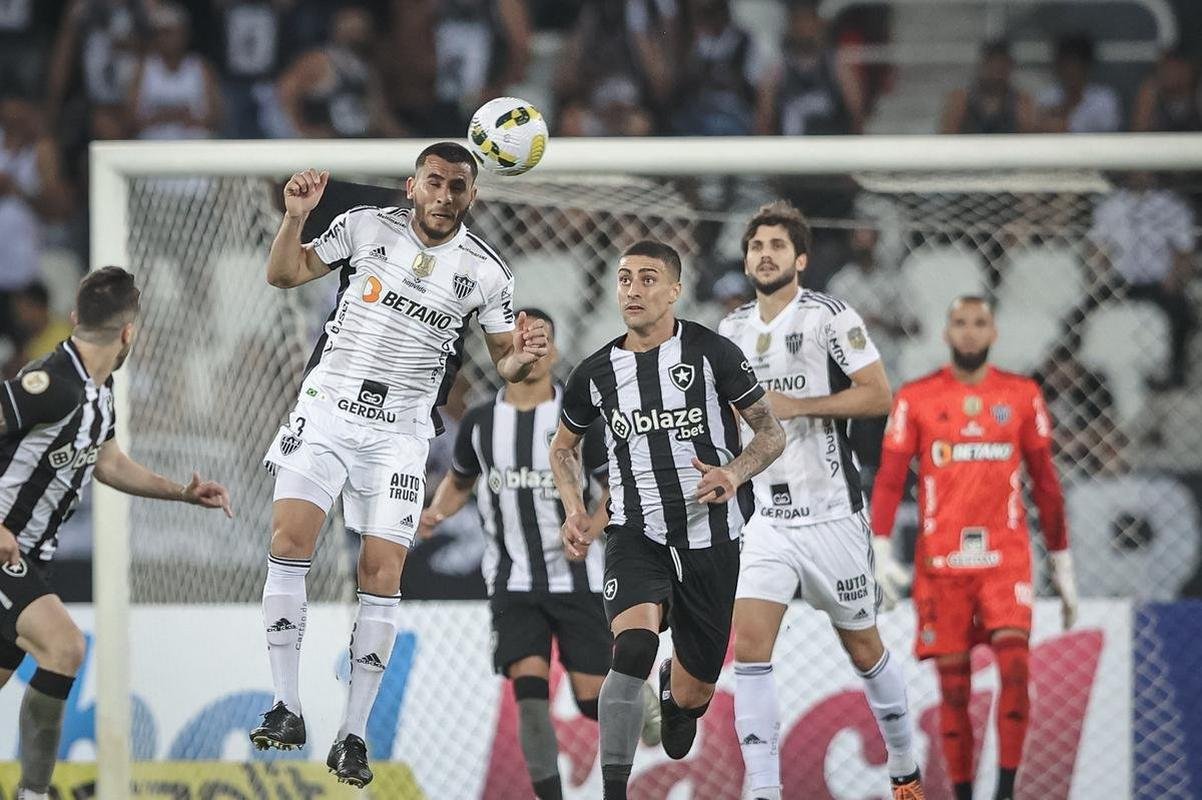 Botafogo x Atltico: veja fotos do jogo no Nilton Santos