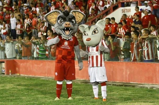 Timbu 'raiz' chamou a atenção nos Aflitos e viralizou nas redes sociais