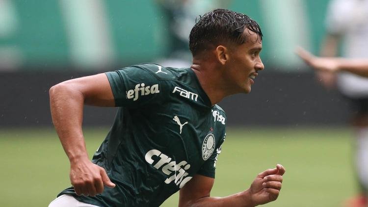 (Foto: Divulga��o/Palmeiras)