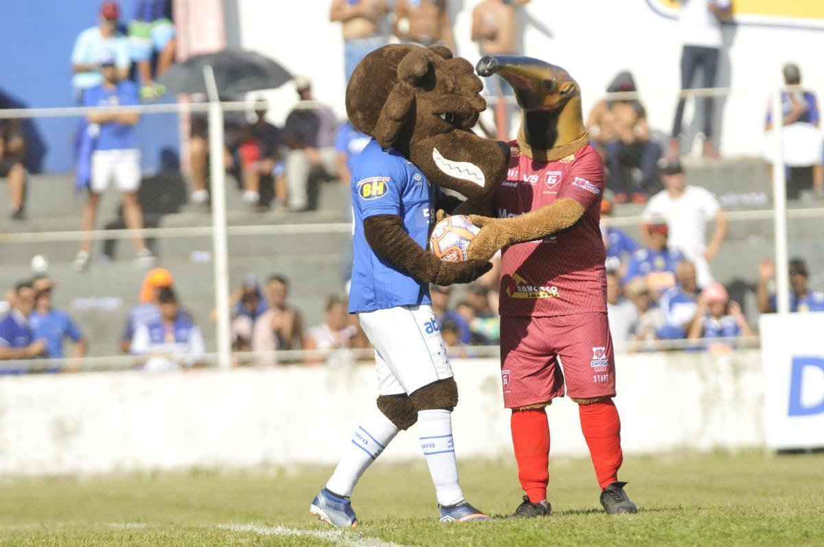 Tamandu, mascote do Guarani, e Raposo, mascote do Cruzeiro, no estdio Fario