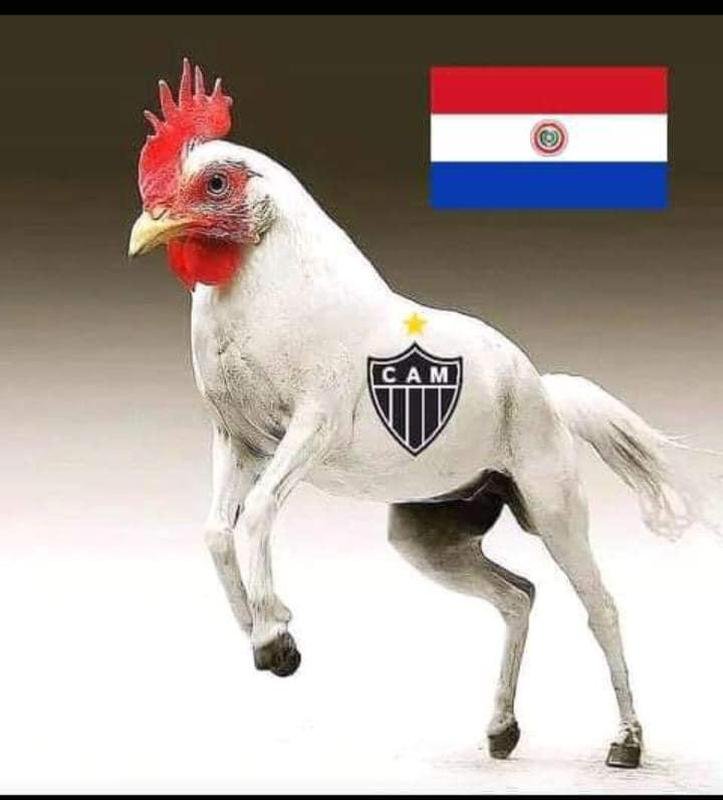 Veja memes da derrota do Atltico para o Botafogo
