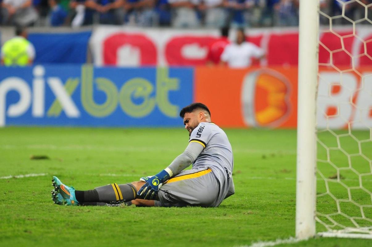 Fotos do jogo entre Cruzeiro e Cricima, neste domingo (4), no Mineiro, pela 28 rodada da Srie B