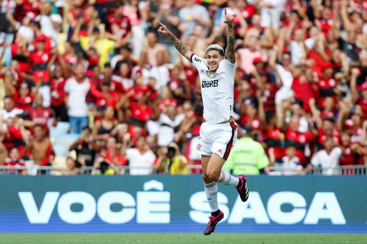 2 - Pedro (Flamengo) - 14 gols