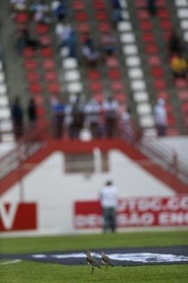 Imagens das torcidas de Villa e Cruzeiro no Alapo do Bonfim