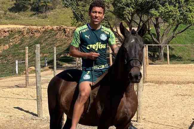 Marcos Rocha aproveita pausa do futebol para curtir outra paixão, os cavalos