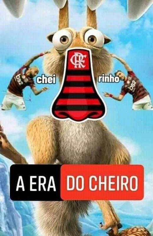 Flamengo foi vice-campeo brasileiro e ficou no 'cheirinho'