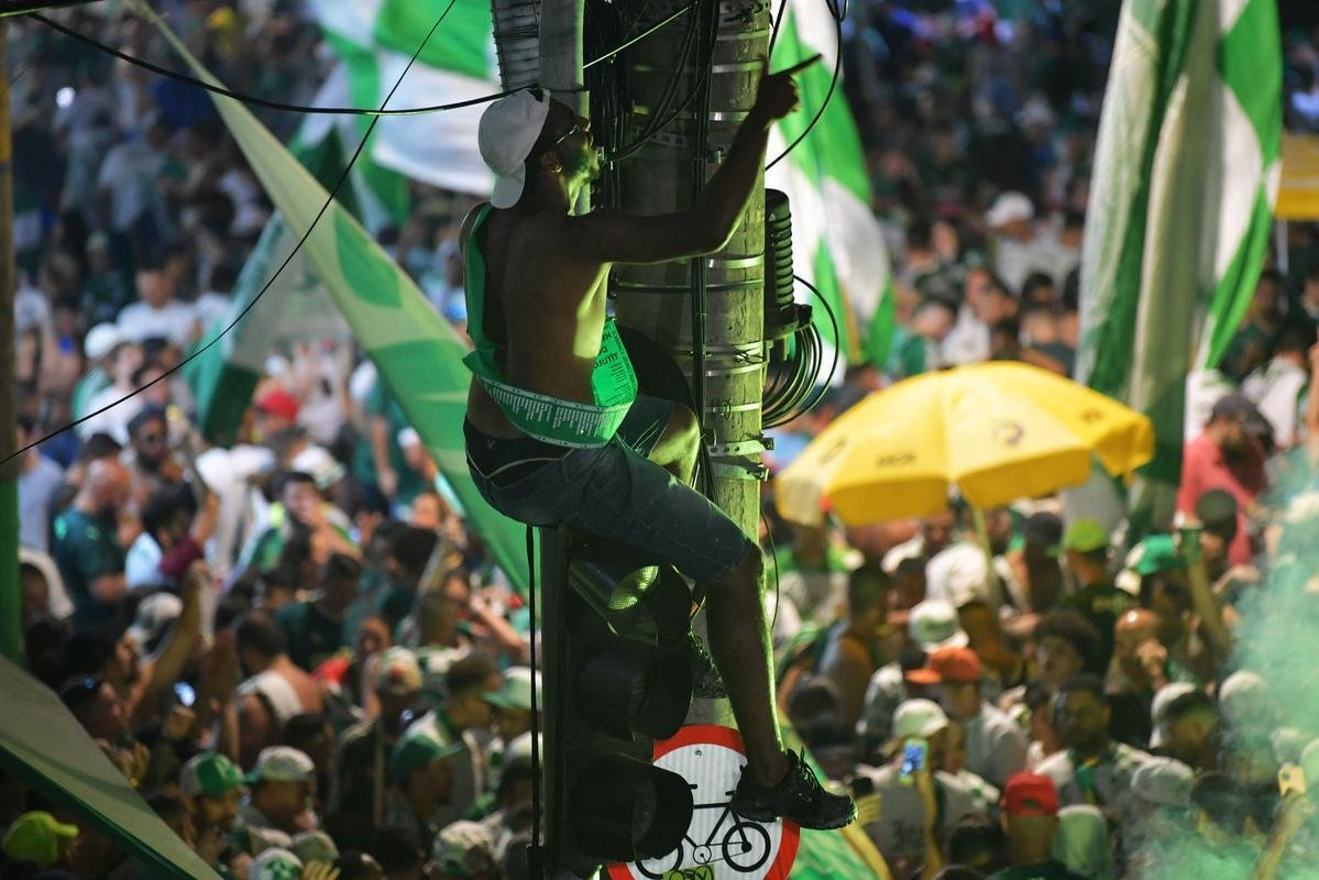 Fotos: festa dos jogadores do Palmeiras com a taa da Libertadores