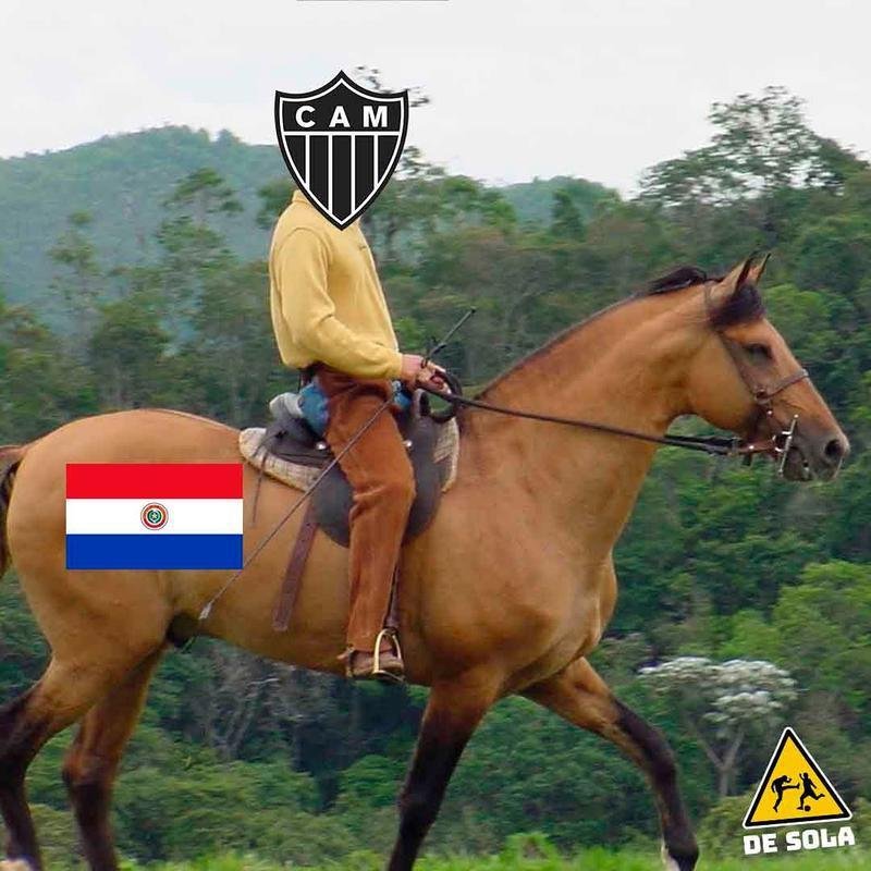 Memes da derrota do Atltico para o Gois