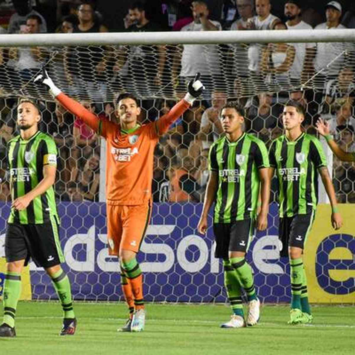 Palmeiras x Floresta-CE: saiba onde assistir ao jogo pelas quartas de final  da Copinha