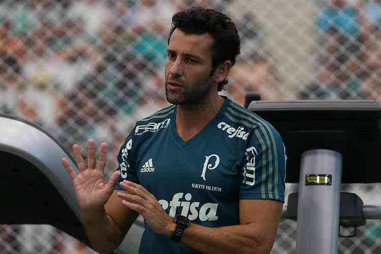 Csar Greco/Palmeiras