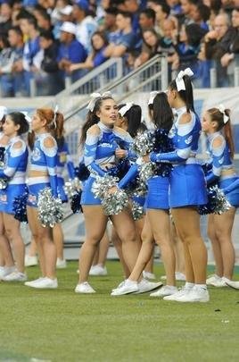 Cruzeiro e Palmeiras mediram foras, no Mineiro, pela oitava rodada do Campeonato Brasileiro