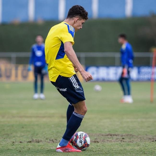Comisso tcnica de Vanderlei Luxemburgo comandou treino na Toca da Raposa II nesta quarta-feira. Time se prepara para enfrentar o Brusque, s 11h de sbado, no estdio Augusto Bauer, em Santa Catarina, pela 16 rodada da Srie B.