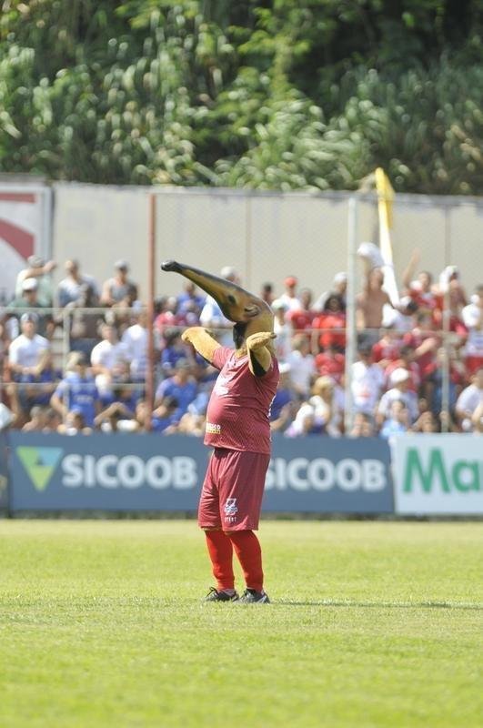 Tamandu, mascote do Guarani, e Raposo, mascote do Cruzeiro, no estdio Fario