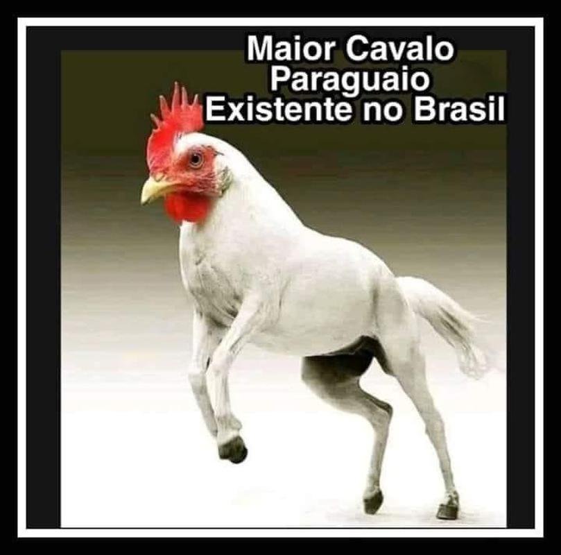 Atltico perde para o Cear no Brasileiro e vira alvo de zoeiras