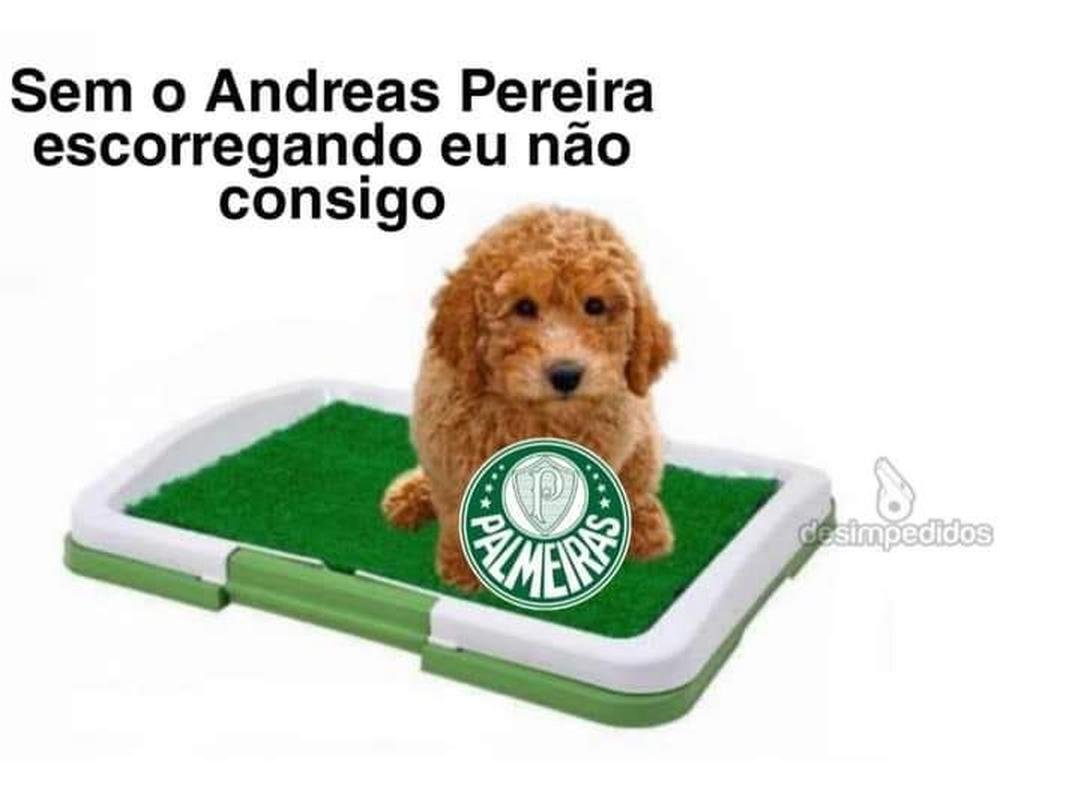 Diversos memes tomaram conta das redes sociais aps a eliminao do Palmeiras na Libertadores