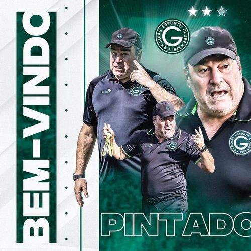 Pintado, técnico (Goiás)