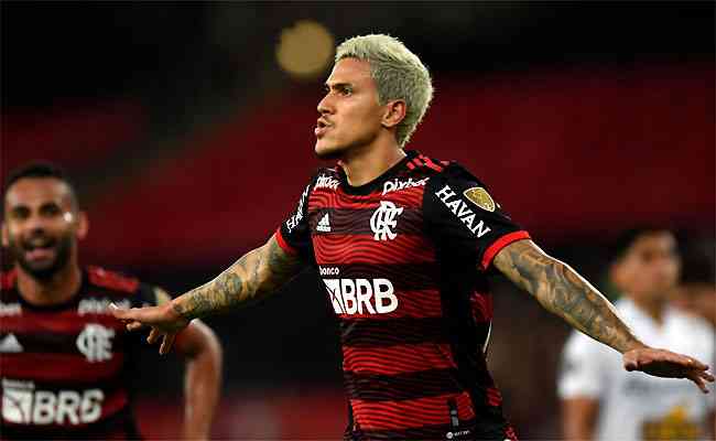 Pedro fez o gol da vitória do Flamengo, classificado com antecedência
