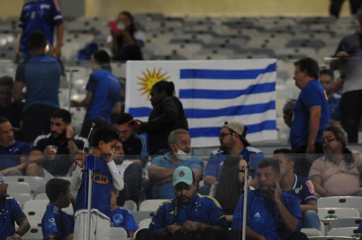 Torcida do Cruzeiro deu show mais uma vez e lotou o Mineiro na partida contra o CRB pela 11 rodada da Srie B