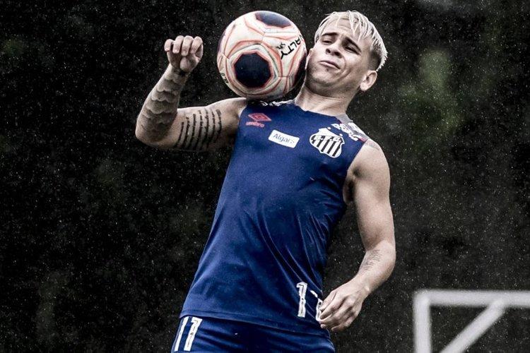 (Foto: Ivan Storti/Santos FC) (Foto: Ivan Storti/Santos FC)