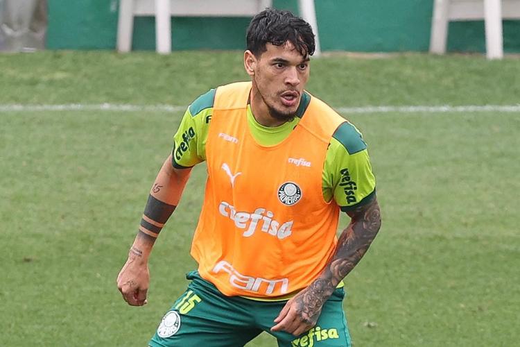 (Foto: Cesar Greco / Palmeiras) (Foto: Cesar Greco / Palmeiras)