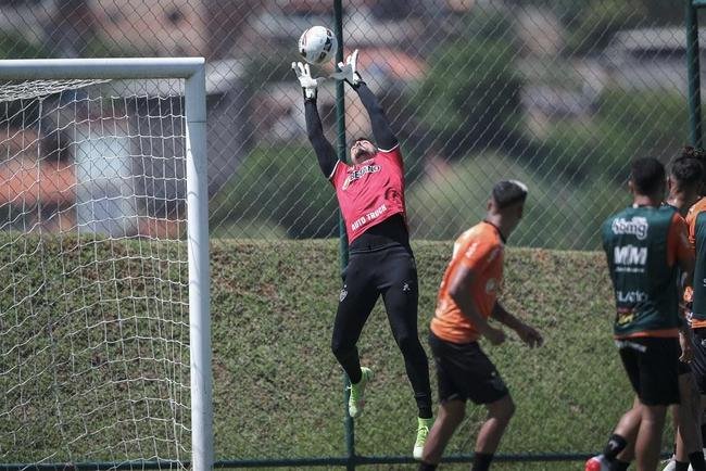 Comemorao pelo aniversrio do Galo e treino