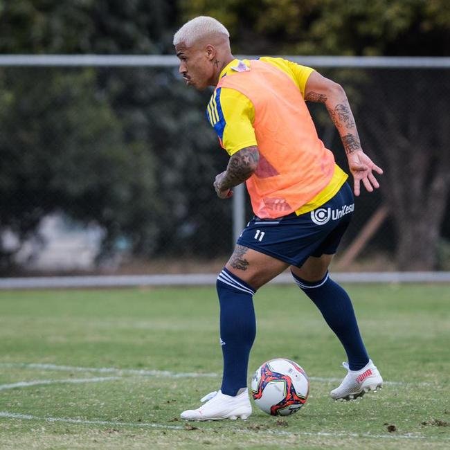 Comisso tcnica de Vanderlei Luxemburgo comandou treino na Toca da Raposa II nesta quarta-feira. Time se prepara para enfrentar o Brusque, s 11h de sbado, no estdio Augusto Bauer, em Santa Catarina, pela 16 rodada da Srie B.