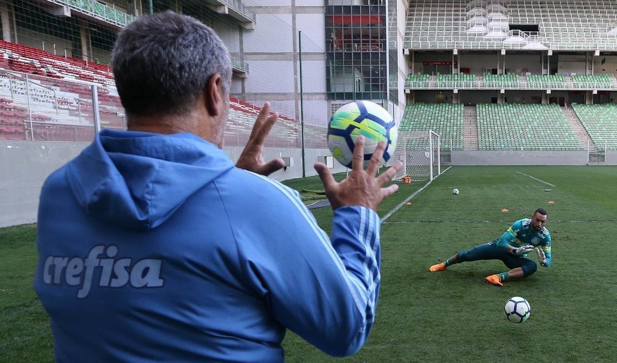 Felipo comandou treino do Palmeiras no Independncia visando ao jogo de quarta, s 21h45, no Mineiro, contra o Cruzeiro, pela semifinal da Copa do Brasil. Time precisa vencer para ir  deciso