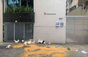 Torcedores levaram galinhas e milhos para a porta da FMF
