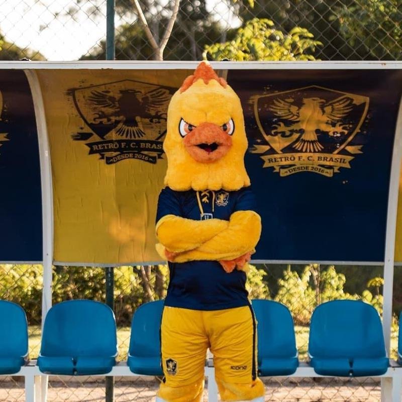 Comentário mais curtido na publicação do clube irá determinar o nome da ave, que agora é presença confirmada nos jogos do Retrô como mandante