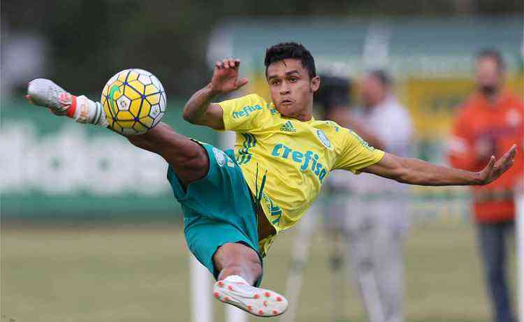 Divulgao/Palmeiras