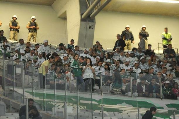 Palmeirenses tambm marcaram presena no Mineiro