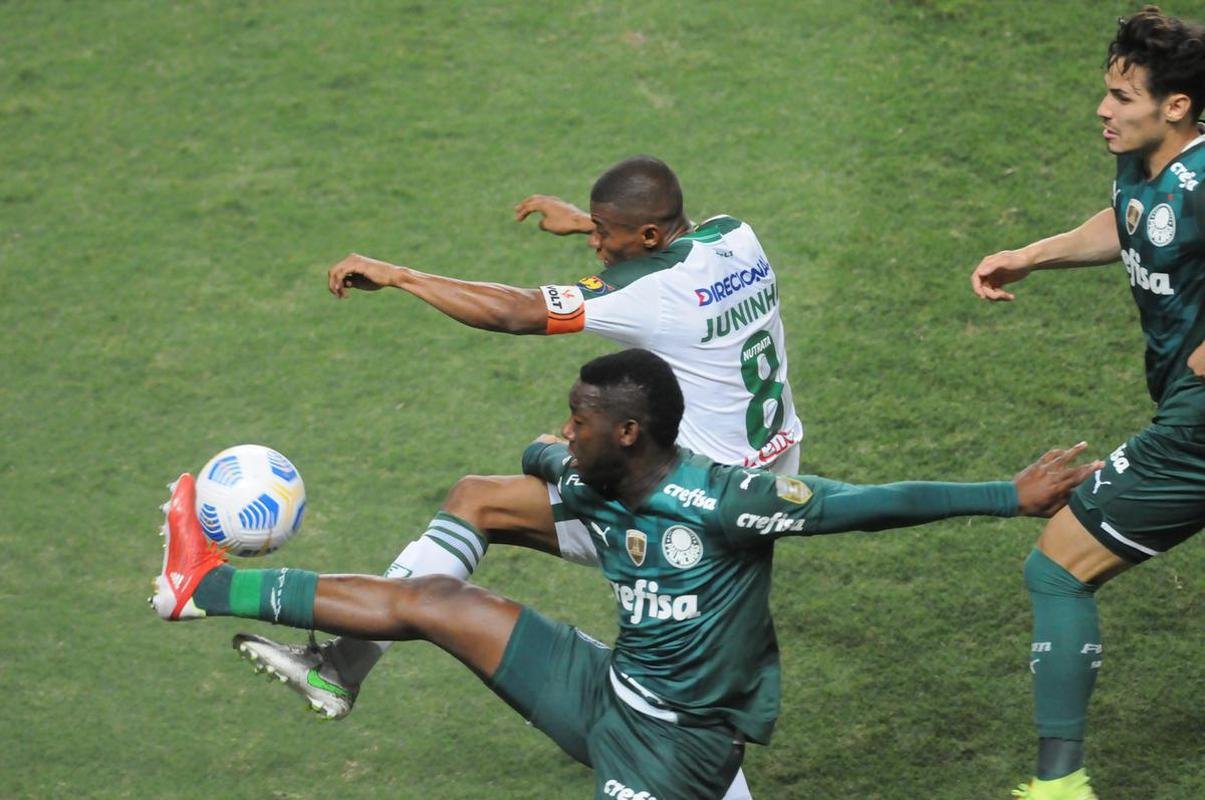 Fotos do jogo entre Amrica e Palmeiras, no Independncia, em Belo Horizonte, pela 24 rodada do Campeonato Brasileiro