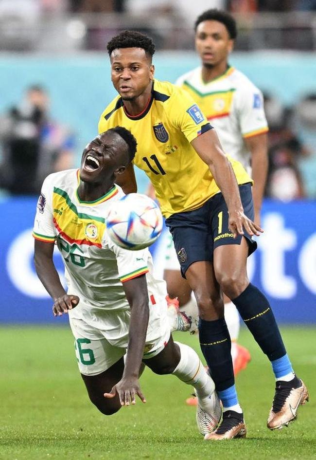 Equador e Senegal se enfrentaram pelo Grupo A da Copa do Mundo