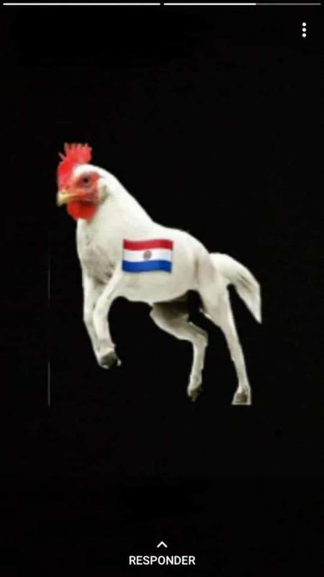 Memes da eliminação do Atlético na Copa Libertadores