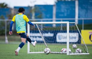 Jogadores do Cruzeiro treinaram na manh deste domingo na Toca da Raposa II