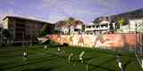 Fifa 21: quadras de futebol do Volta. Cidade do Cabo