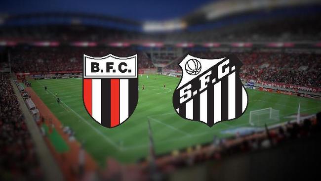 Botafogo SP x Santos