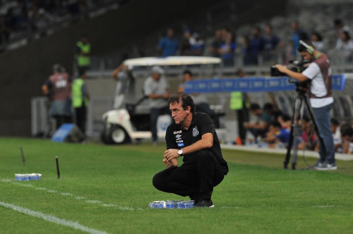 Em jogo com grande atuao do goleiro Fbio, Cruzeiro derrotou Santos de virada, por 2 a 1, com gols de Sass e Raniel; Gabriel Barbosa marcou para o Peixe, no Mineiro, pela 26 rodada do Brasileiro
