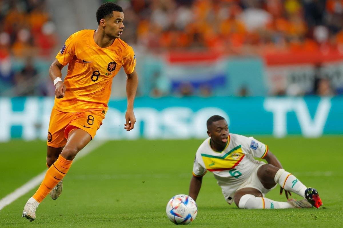 Fotos do jogo entre Senegal e Holanda no Estdio Al Thumama, pelo Grupo A da Copa do Mundo, no Catar