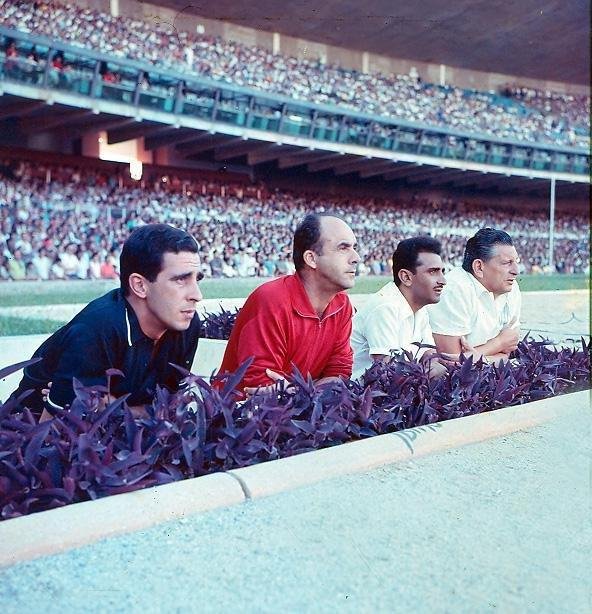 Fotos da carreira do polmico tcnico Yustrich, o Homo