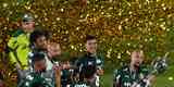 Fotos: festa dos jogadores do Palmeiras com a taça da Libertadores