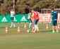 Vdeo: em treinamento com cone, jogadores do Palmeiras 'apanham' da bola