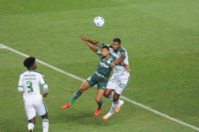 Fotos do jogo entre Amrica e Palmeiras, no Independncia, em Belo Horizonte, pela 24 rodada do Campeonato Brasileiro
