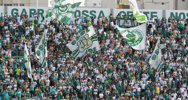 #17 - Gois: R$ 3 milhes de receita em 2020