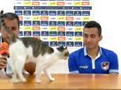 Gato invade entrevista coletiva na Colmbia, e jogador se assusta; veja