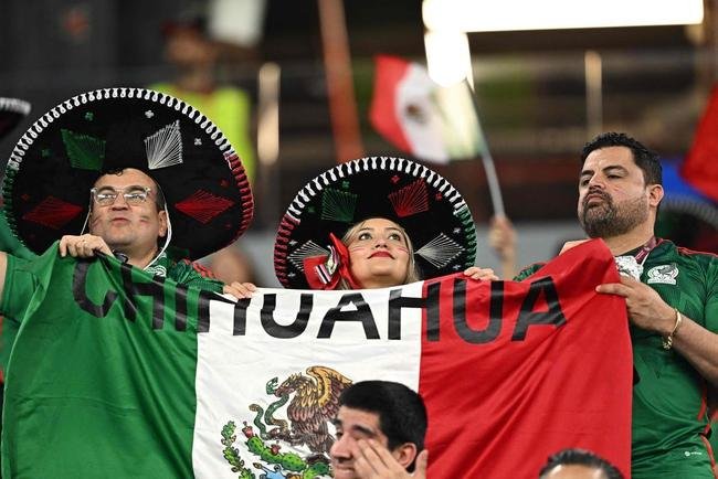 Imagens da torcida no jogo entre Mxico e Polnia pelo Grupo C da Copa do Mundo.