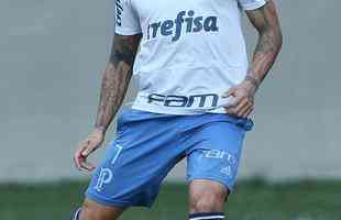 Felipo comandou treino do Palmeiras no Independncia visando ao jogo de quarta, s 21h45, no Mineiro, contra o Cruzeiro, pela semifinal da Copa do Brasil. Time precisa vencer para ir  deciso