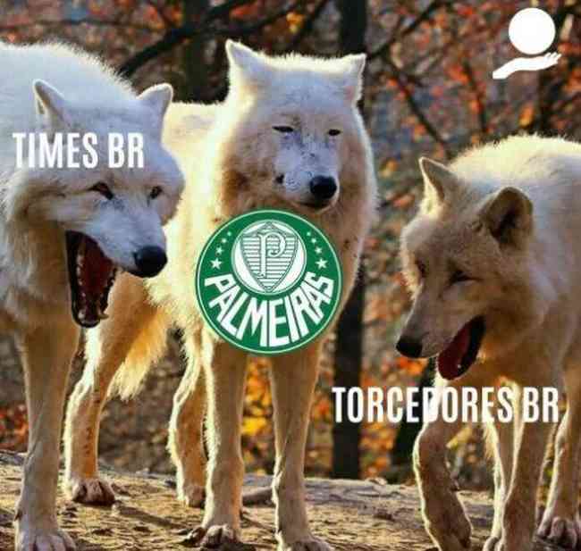 Derrota alviverde mantém vivo meme 'Palmeiras não tem Mundial' - 12/02/2022  - #Hashtag - Folha